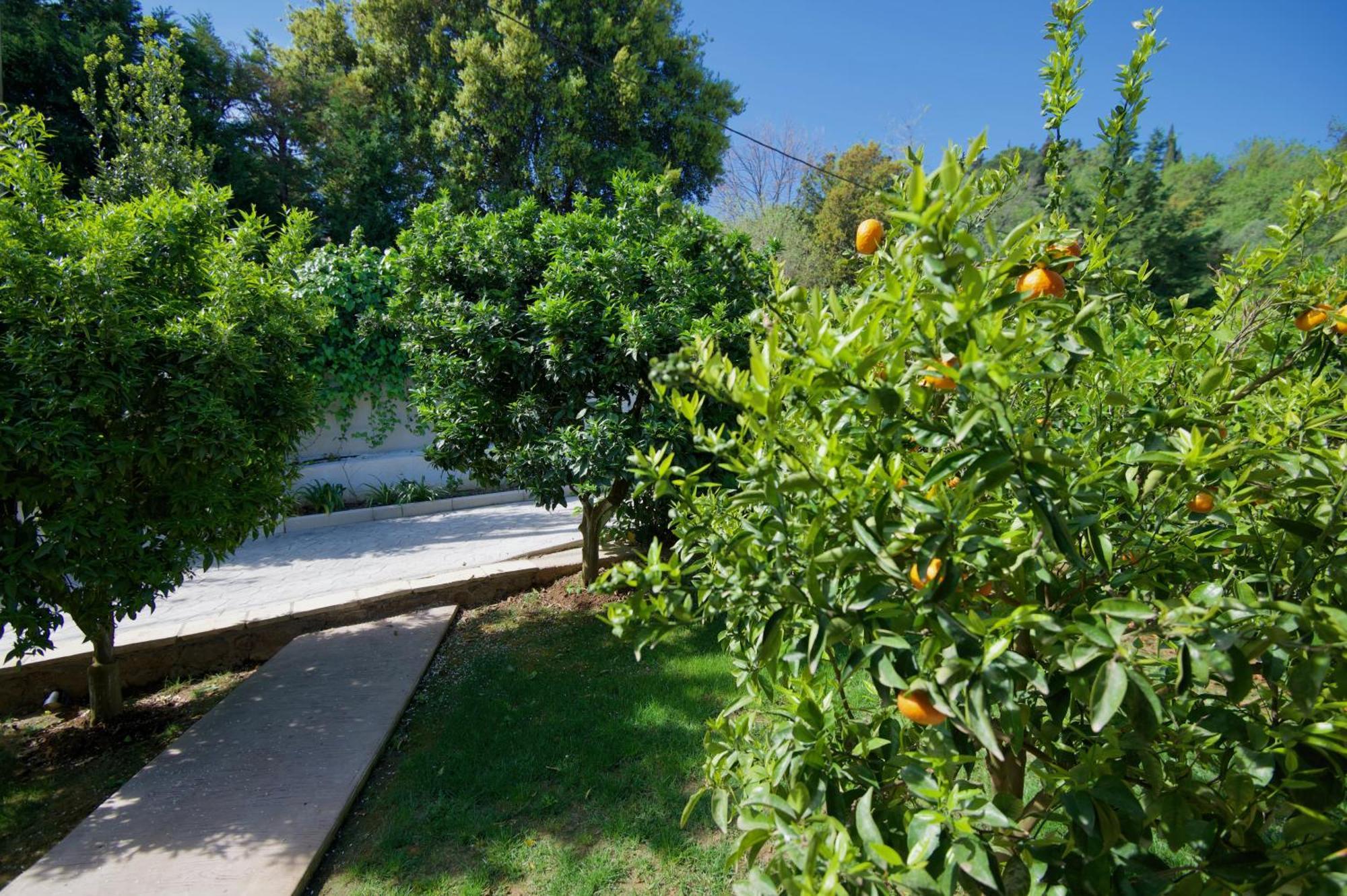 Villa Natilia Gazátika 외부 사진